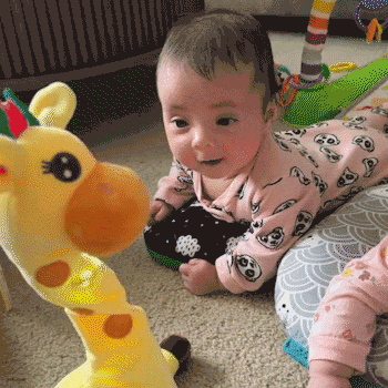 Groovy Giraffe Cuddle Buddy